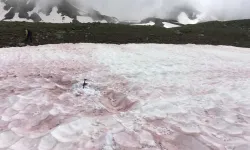 Alp'lerde kar kırmızıya döndü