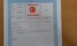 Hisseli Tapu Nasıl Bölünür?