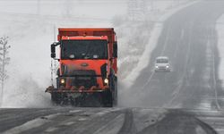 Ardahan ve Kars'ta kar yağışı etkili oluyor