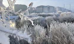 Doğu Anadolu'da araç ve iş yerlerinin camları buz tuttu