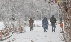 Doğu Anadolu'da kar, tipi ve soğuk hava etkili oluyor