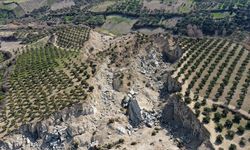 Hatay'da, depremde ikiye bölünen zeytinliğin bulunduğu bölge için kritik uyarı