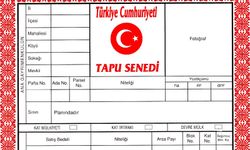 Tek Tapu Nasıl Bölünür?