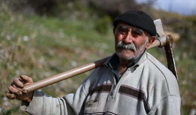 Fidan dede 35 yılda 550 bine yakın fidan dikti