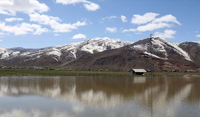 Karların erimesiyle Muş Ovası'ndaki bazı araziler suyla kaplandı