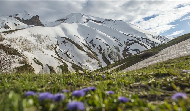 Tunceli'nin yaylalarında ilkbahar ve kış manzaraları bir arada