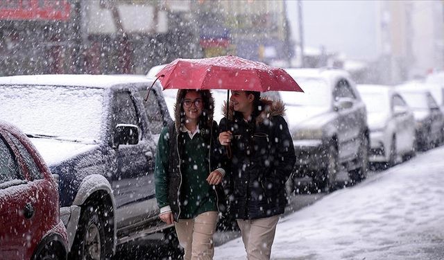 Ardahan'da lapa lapa yağan kar kışı aratmadı