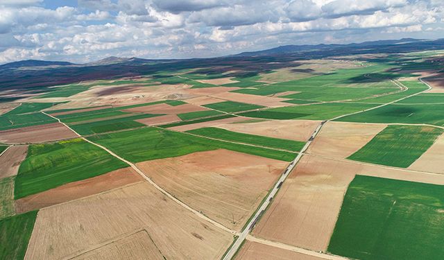 Arsa Fiyatlarında Rekor Artış