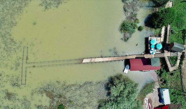 Selden etkilenen Düzce'de sular çekilmeye devam ediyor