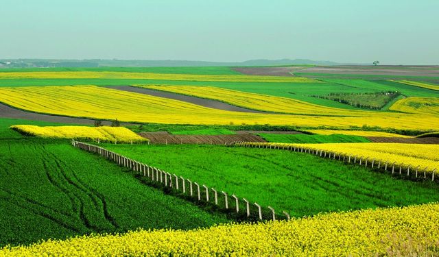 Arsa Fiyatları Uçtu! Toprağa Yatıran Kazandı