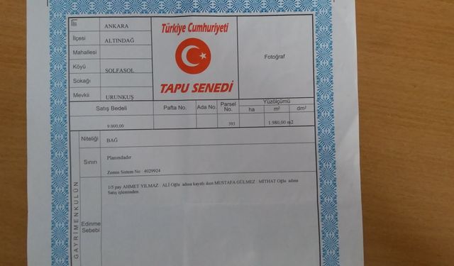 Hisseli Tapu Nasıl Bölünür?