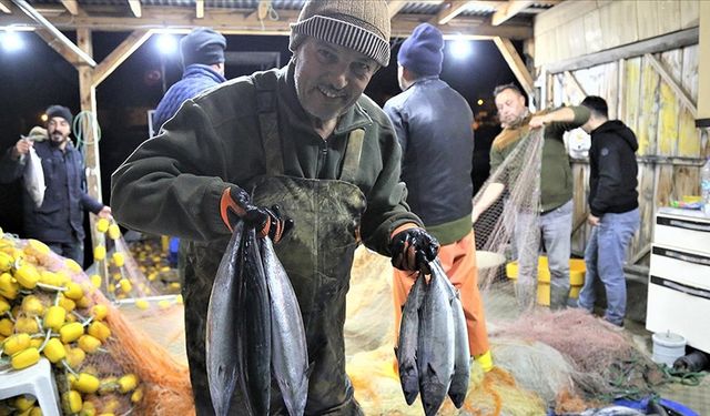 Karadeniz'de palamut bolluğu