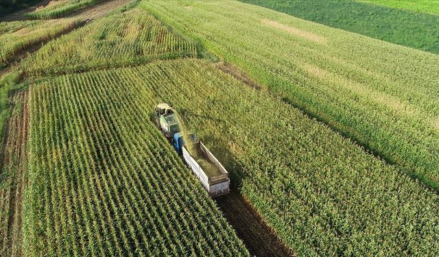 Kırsal kalkınma için 20 yılda 30,2 milyar liralık destekle 508 bin kişilik istihdam sağlandı