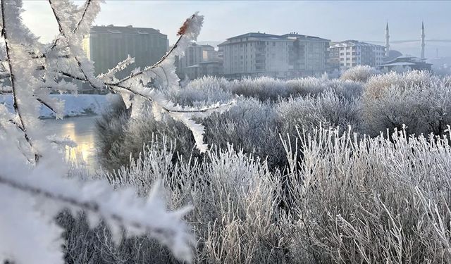 Doğu Anadolu'da araç ve iş yerlerinin camları buz tuttu