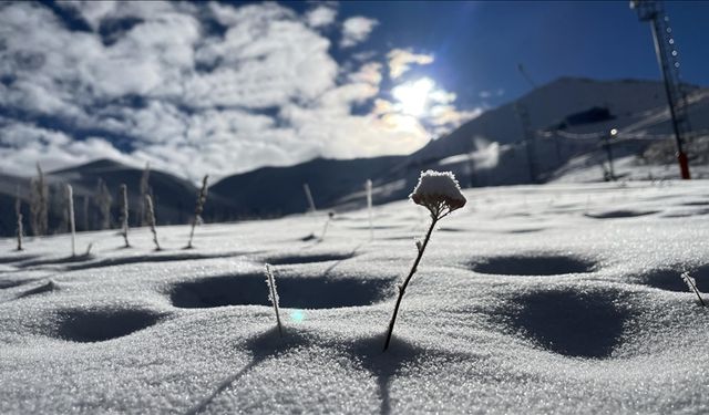 Doğu Anadolu'da kar ve soğuk hava etkili oluyor