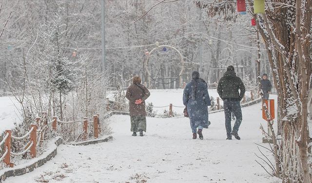 Doğu Anadolu'da kar, tipi ve soğuk hava etkili oluyor