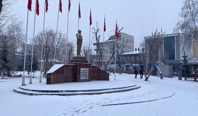 Doğu Anadolu'da kar yağışı etkili oluyor