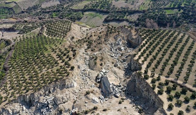 Hatay'da, depremde ikiye bölünen zeytinliğin bulunduğu bölge için kritik uyarı