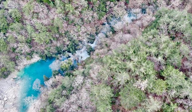 Depremler Hatay'da yeni "gölet" oluşturdu