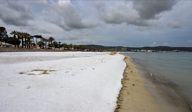 Dolunun etkili olduğu Çeşme'de plajlar beyaza büründü