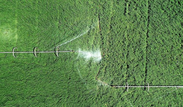 Çiftçilerin tarımsal amaçlı su kullanım hizmet bedelleri yüzde 50 desteklenecek