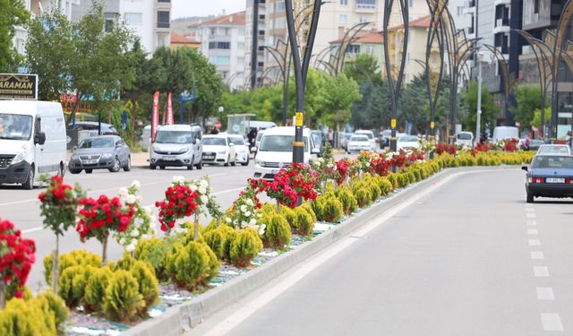 Aksaray Çiçek Açtı