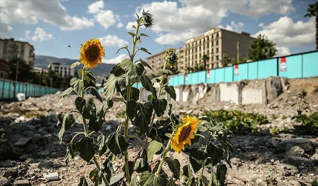 Kahramanmaraş'taki konteyner çarşı, kuruyemişçinin enkazındaki ürünlerle yeşerdi