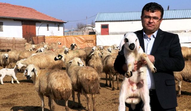 Aksaray’da Yaklaşık 100 bin kurban kesilecek