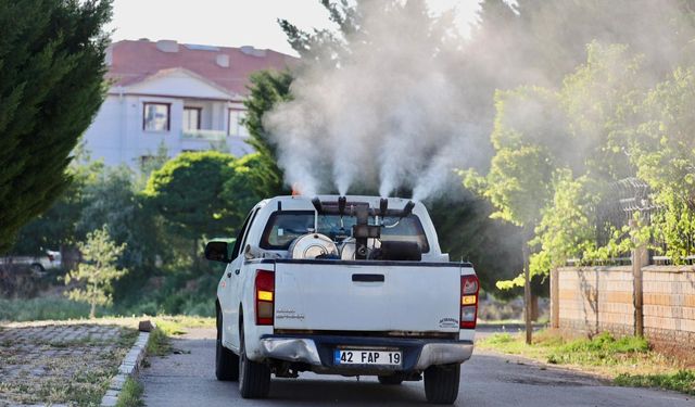 Aksaray Belediyesi haşere ile mücadelesini sürdürüyor