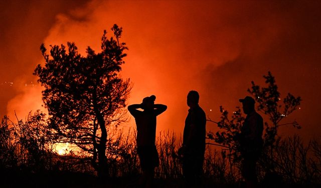 Orman yangınları atmosferdeki karbondioksit emisyonunu artırıyor