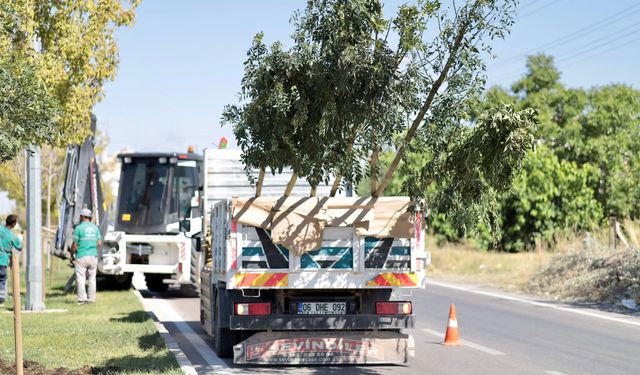 YEŞİL AKSARAY İÇİN AĞAÇLANDIRMA ÇALIŞMALARI SÜRÜYOR