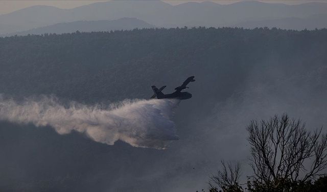 Çanakkale'deki orman yangınına 7 uçak ve 22 helikopterle müdahale sürüyor