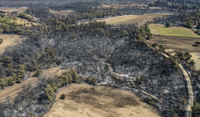 Çanakkale'deki orman yangını kontrol altına alındı