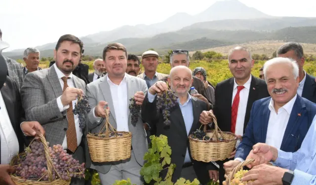 HASANDAĞI ETEKLERİNDE GELENEKSEL 2. BAĞ BOZUMU VE PEKMEZ FESTİVALİ GERÇEKLEŞTİRİLDİ