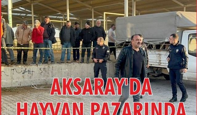 Aksaray Hayvan Pazarında 2 kardeş vuruldu; Durumları Ağır!