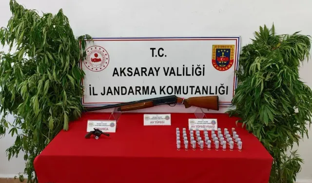 Aksaray jandarması yasa dışı kenevir ekimi yapan 3 kişiyi yakalad