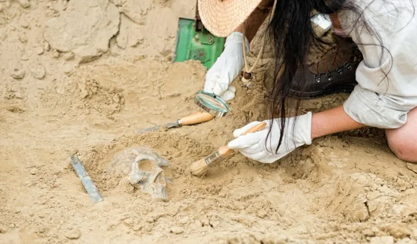300 bin yıllık insan kalıntıları bulundu!